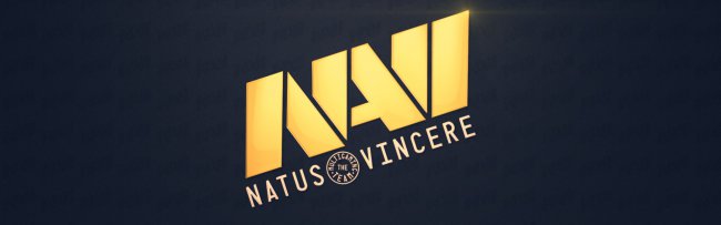 Кто будет играть в Na'Vi?